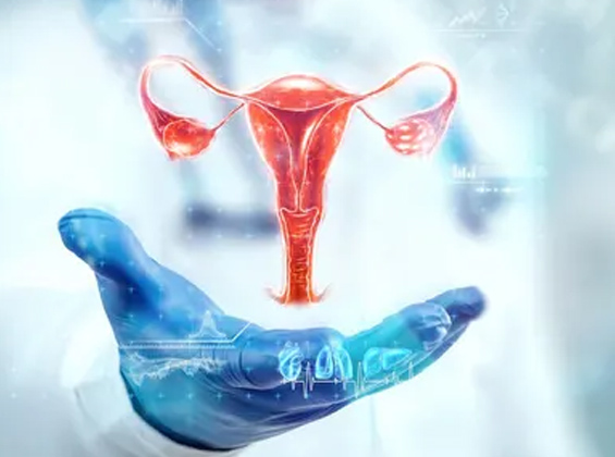 👩‍⚕️🌸 Women’s Health Matters